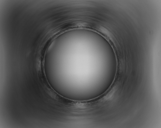X0000089830827200706281210