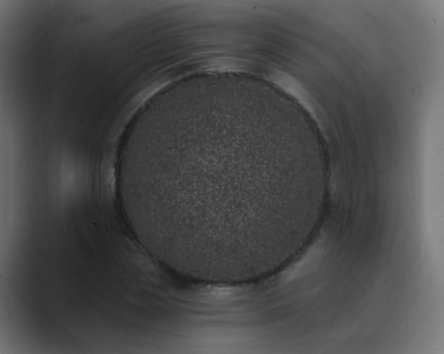 X0000089830829200706281210