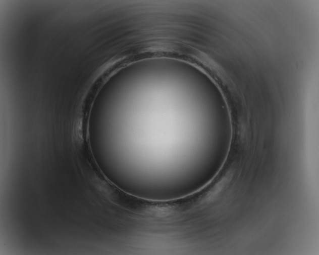 X0000089830830200706281210