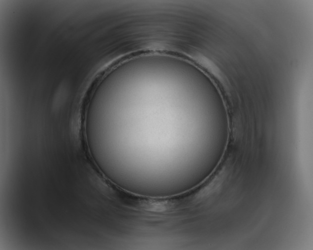 X0000089830831200706281210