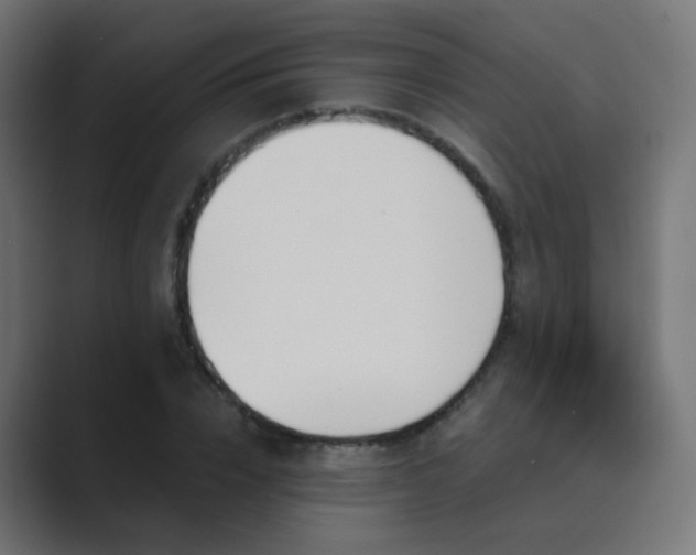 X0000089830832200706281210