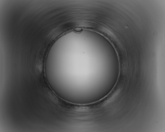 X0000089830833200706281210