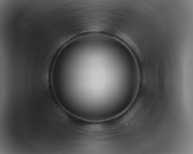 X0000089830834200706281210