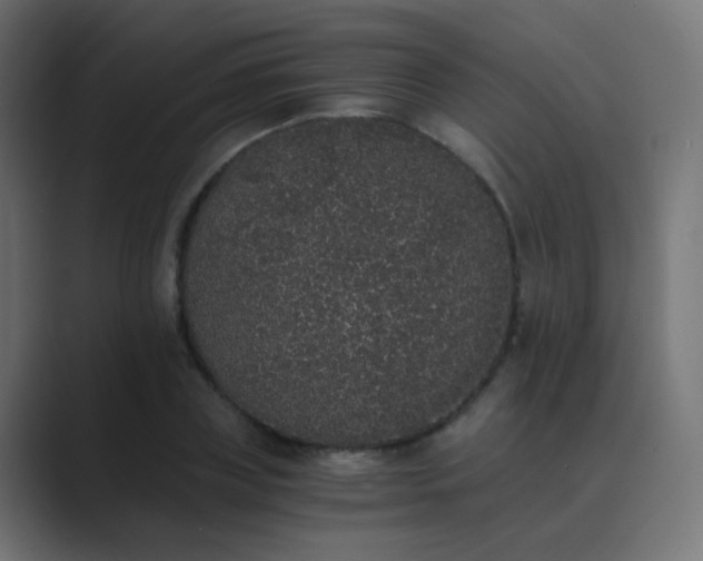 X0000089830835200706281210