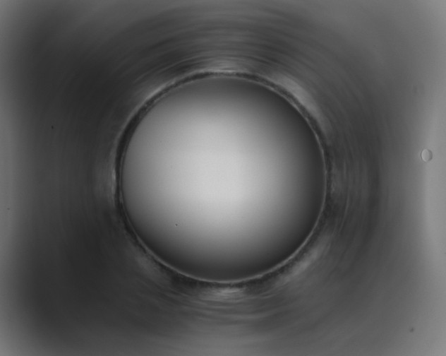 X0000089830837200706281210