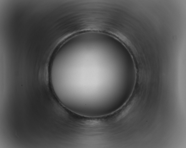 X0000089830838200706281210