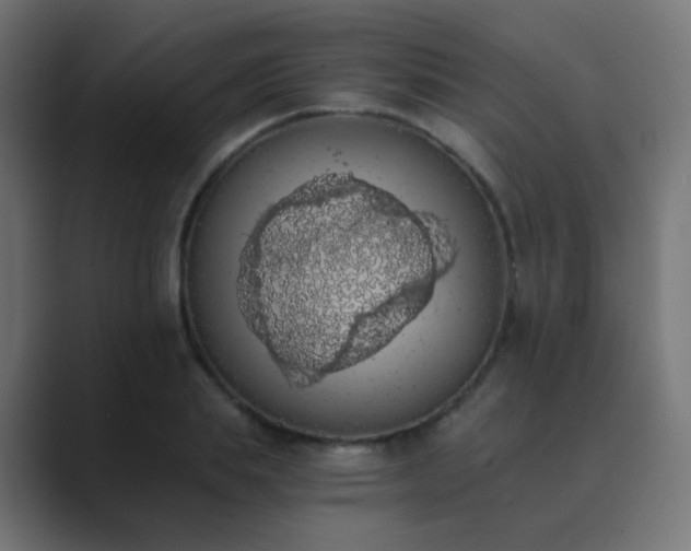 X0000089830839200706281210