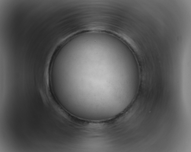 X0000089830840200706281210