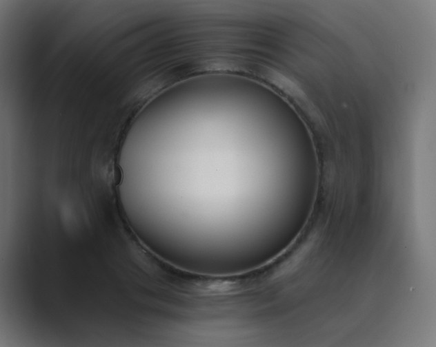 X0000089830841200706281210