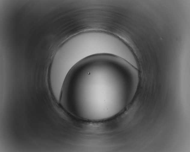 X0000089830842200706281210