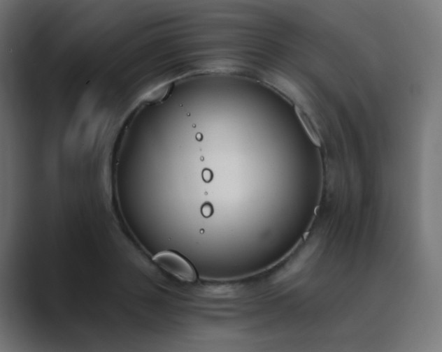 X0000089830843200706281210