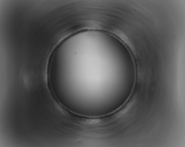 X0000089830845200706281210