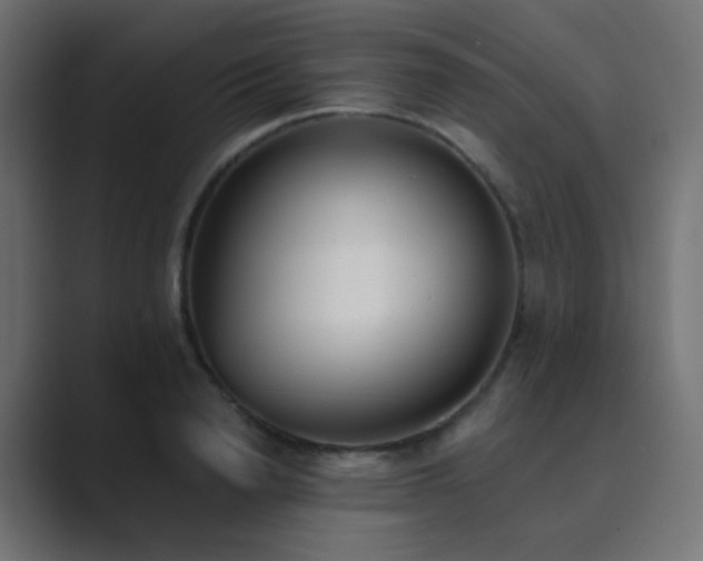 X0000089830846200706281210
