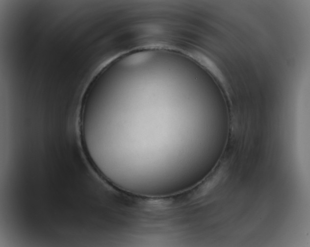 X0000089830847200706281210