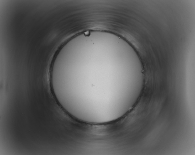 X0000089830848200706281210