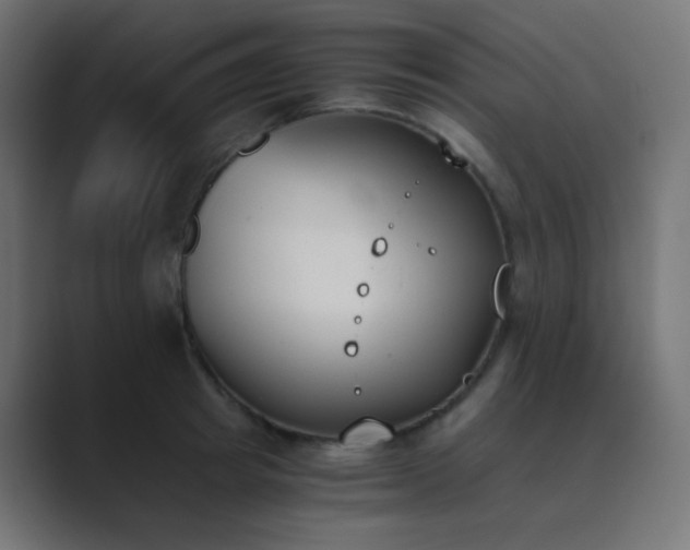 X0000089830849200706281210