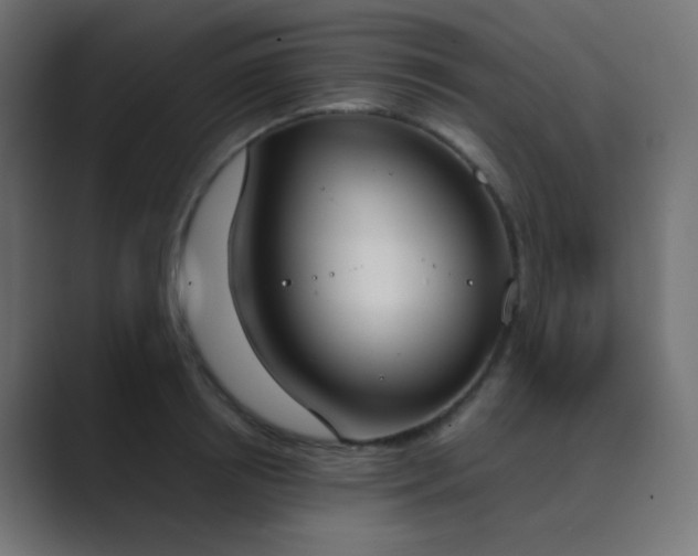 X0000089830850200706281210