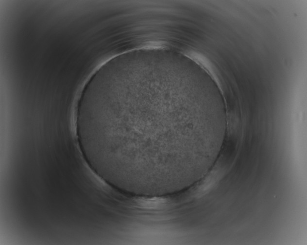 X0000089830851200706281210