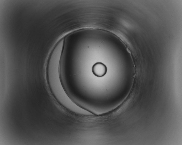 X0000089830854200706281210