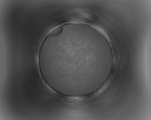X0000089830855200706281210