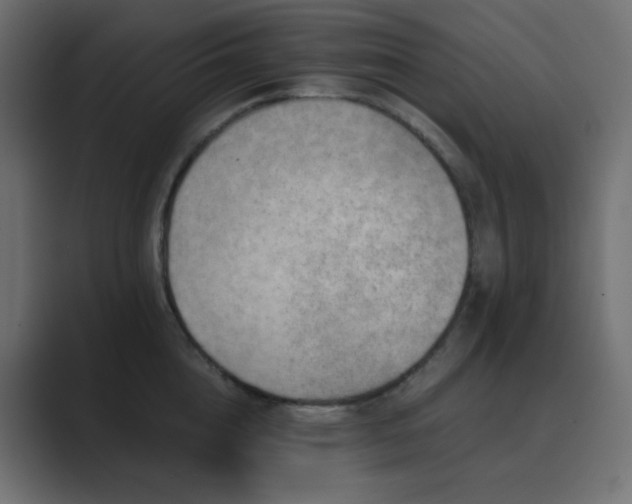 X0000089830856200706281210