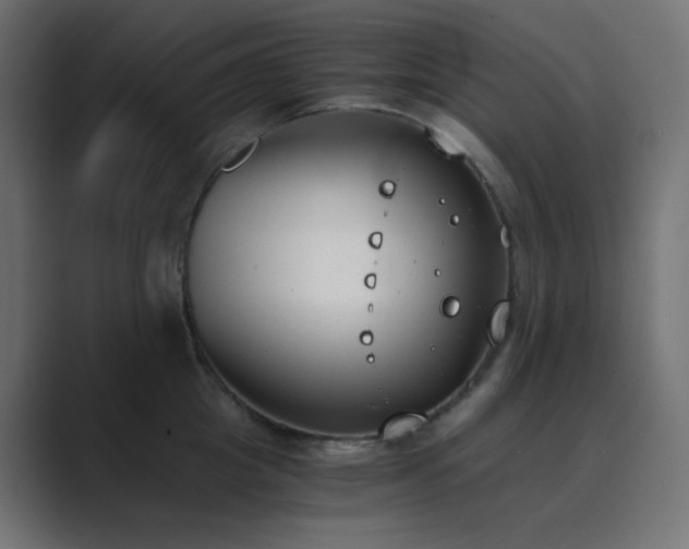 X0000089830857200706281210