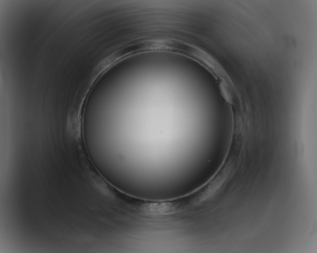 X0000089830858200706281210