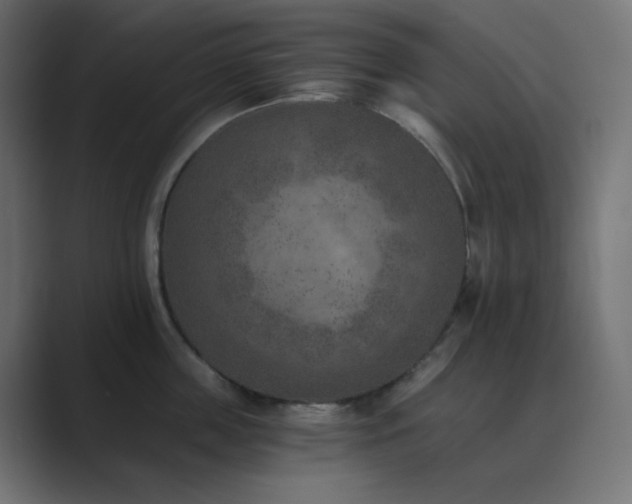 X0000089830859200706281210