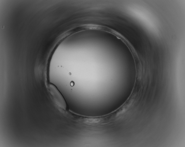 X0000089830861200706281210