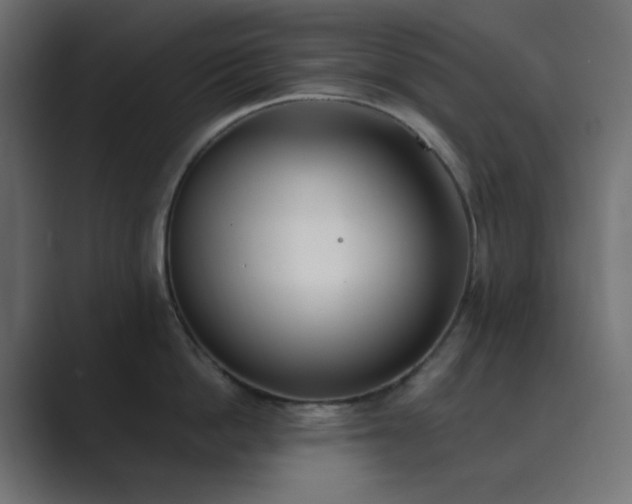X0000089830862200706281210
