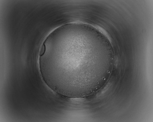 X0000089830863200706281210