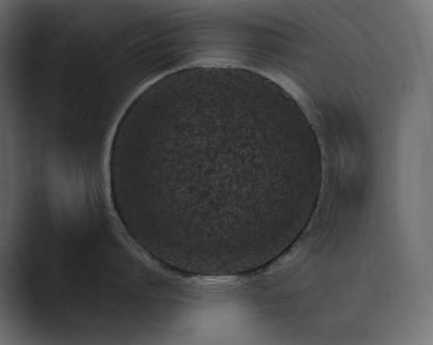 X0000089830864200706281210