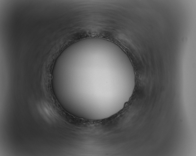 X0000089830865200706281210