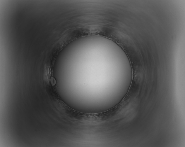 X0000089830866200706281210