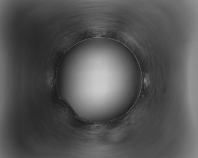 X0000089830867200706281210