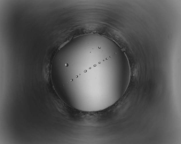 X0000089830868200706281210