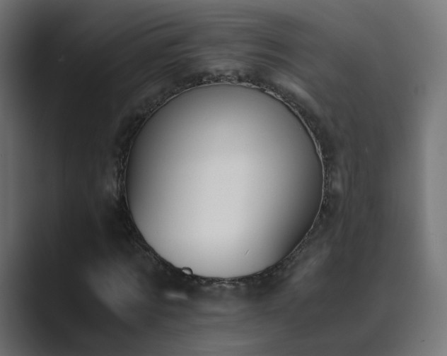 X0000089830869200706281210