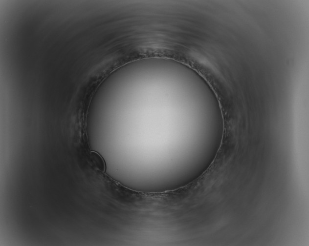 X0000089830870200706281210