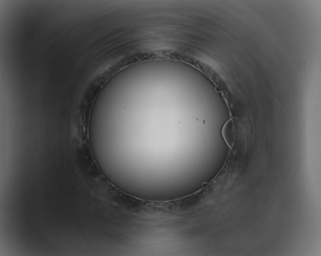 X0000089830871200706281210