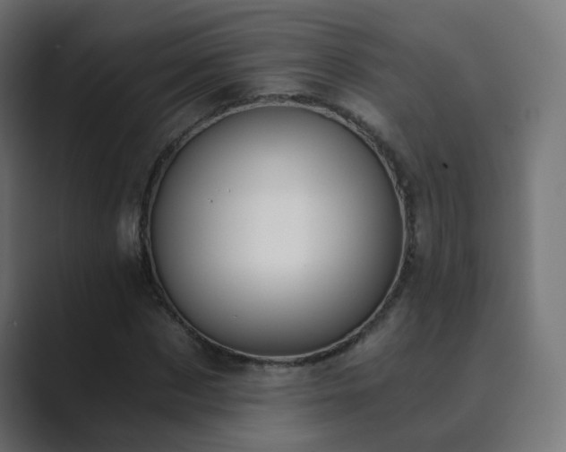 X0000089830873200706281210