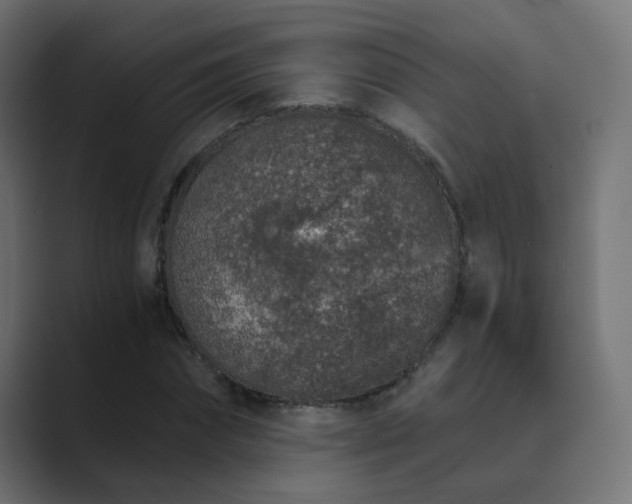 X0000089830874200706281210