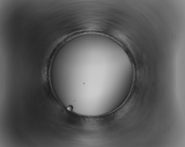 X0000089830875200706281210