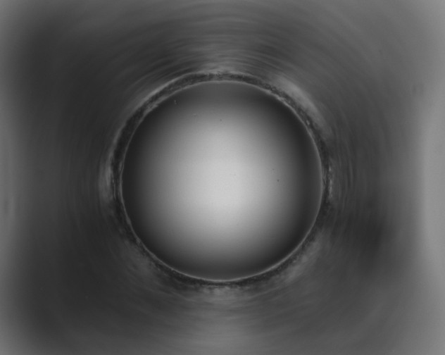 X0000089830876200706281210