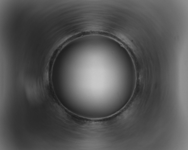 X0000089830877200706281210