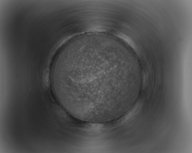X0000089830878200706281210