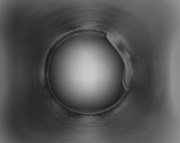 X0000089830880200706281210