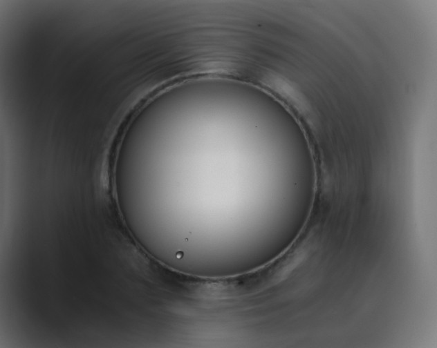 X0000089830883200706281209