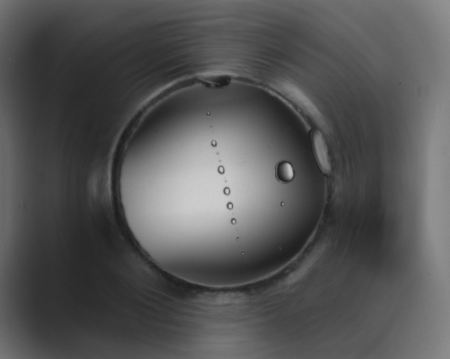 X0000089830884200706281209