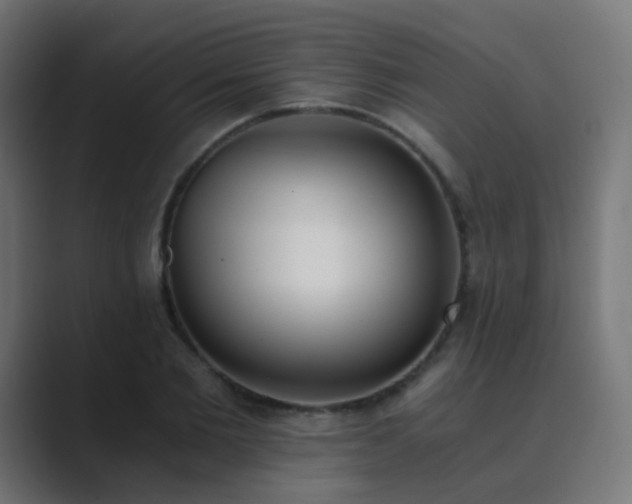 X0000089830885200706281209
