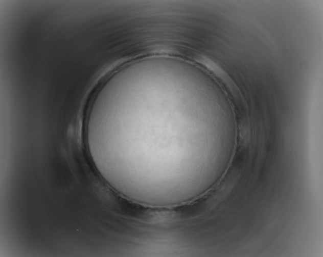 X0000089830886200706281209